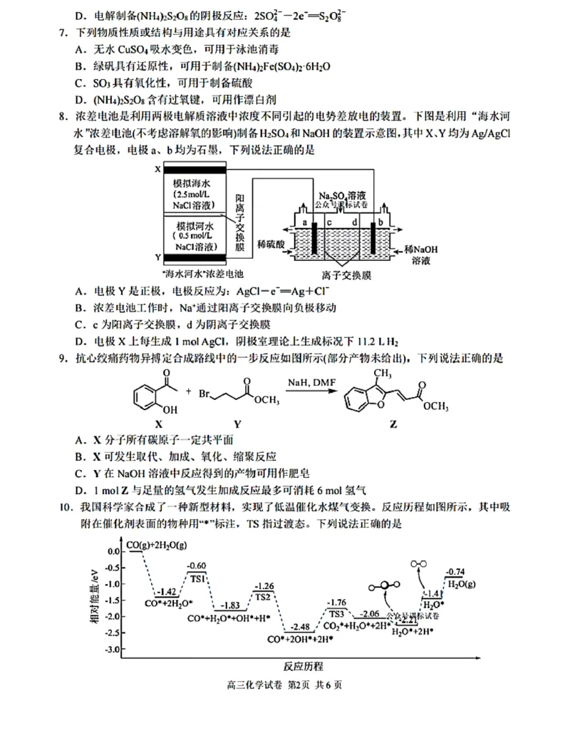 江苏省苏州中学、海门中学、姜堰中学、淮阴中学等四校2024-2025学年高三下学期2月开学联考化学试卷_2024-2025高三（6-6月题库）_2025年02月试卷
