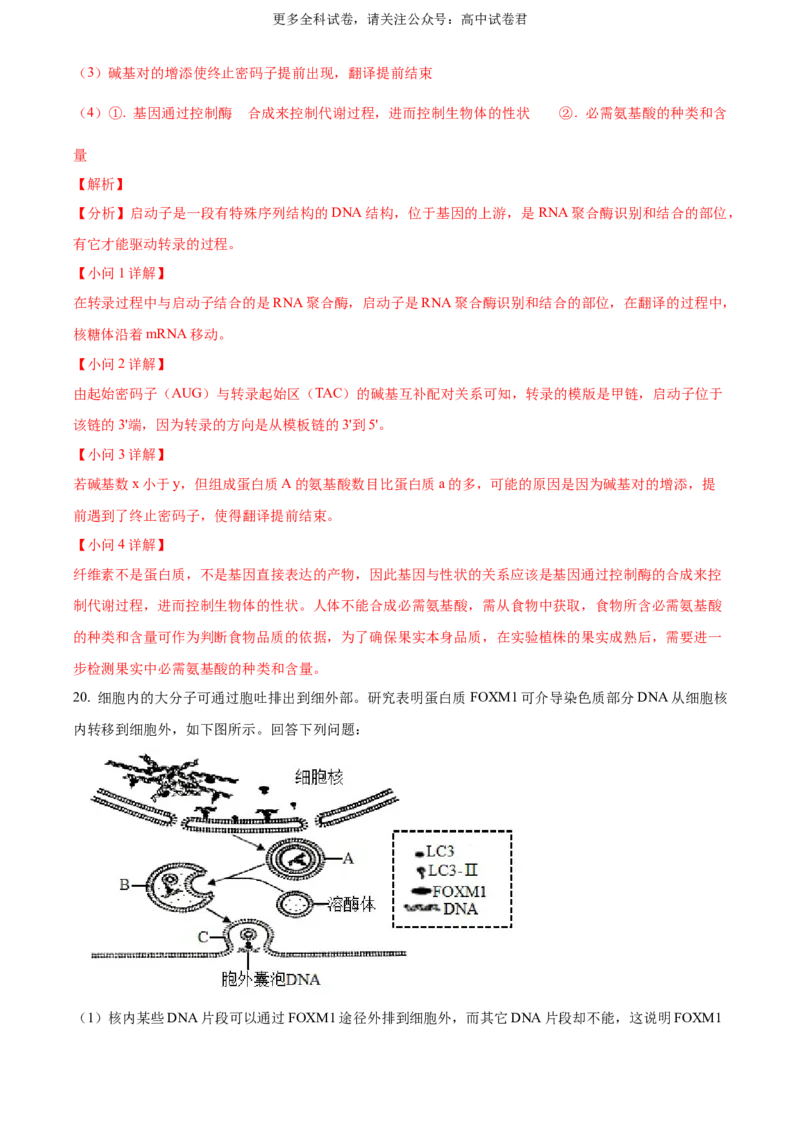 生物（九省联考真题完全解读，广西卷）-2024年1月&ldquo;九省联考&rdquo;生物真题完全解读与考后提升_2024年4月_其他_2024年1月新&ldquo;九省联考&rdquo;考后提升卷（原卷+解析）