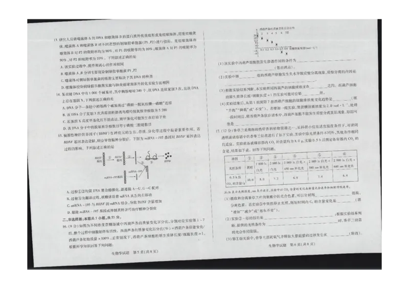 生物(1)_2023年11月_0211月合集_2024届海南省天一联考高三上学期11月学业水平诊断考试（一）_海南省2024届天一联考高三上学期11月学业水平诊断考试（一）生物