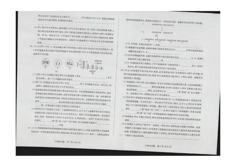 生物(1)_2023年11月_0211月合集_2024届海南省天一联考高三上学期11月学业水平诊断考试（一）_海南省2024届天一联考高三上学期11月学业水平诊断考试（一）生物