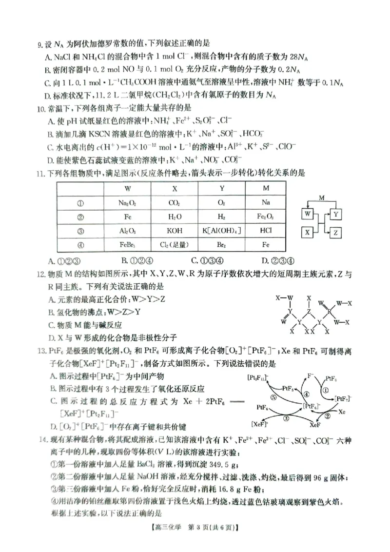 河南省2025届高三上学期联考（二）化学试题扫描版无答案_2024-2025高三（6-6月题库）_2024年10月试卷_1010河南省2025届高三上学期联考（二）