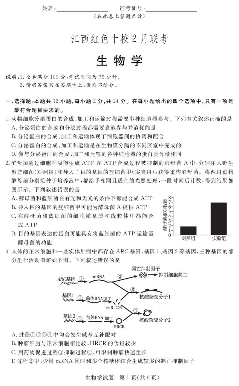 生物试卷（红色十校2月高三）_2024年2月_01每日更新_23号_2024届江西省红色十校高三下学期2月联考_江西省红色十校2024届高三下学期2月联考生物