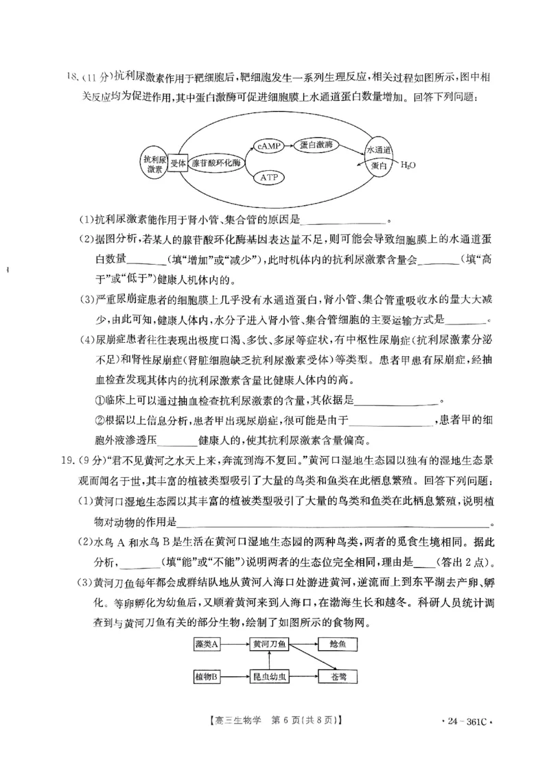 贵州省金太阳2024届高三下学期联考（开学考）（24-361C）生物(1)_2024年2月_022月合集_2024届贵州省金太阳高三下学期联考（开学考）（24-361C）