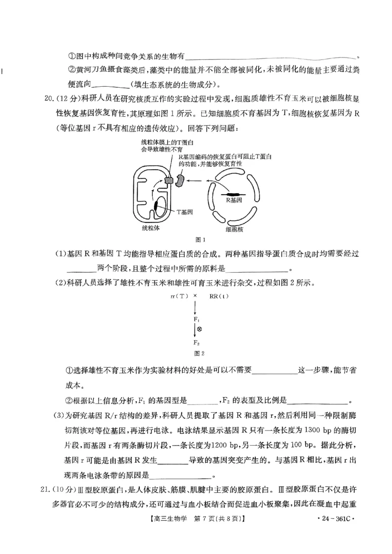 贵州省金太阳2024届高三下学期联考（开学考）（24-361C）生物(1)_2024年2月_022月合集_2024届贵州省金太阳高三下学期联考（开学考）（24-361C）