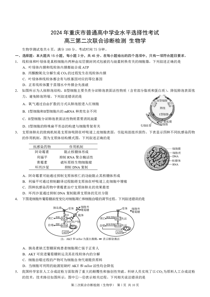 重庆市2024届高三下学期第二次联考诊断检测生物试题+答案(1)_2024年4月_024月合集_2024届重庆二诊康德卷高三第二次联合诊断检
