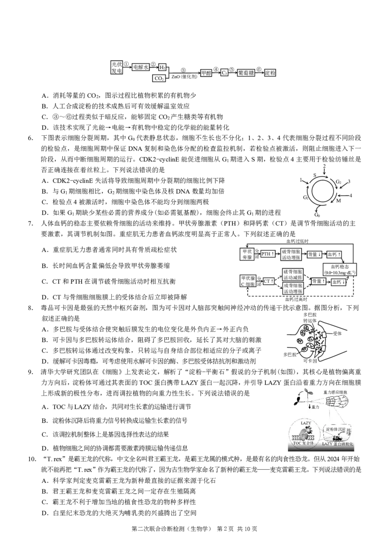 重庆市2024届高三下学期第二次联考诊断检测生物试题+答案(1)_2024年4月_024月合集_2024届重庆二诊康德卷高三第二次联合诊断检