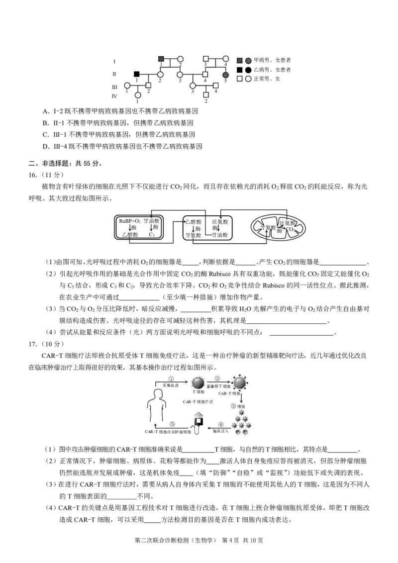 重庆市2024届高三下学期第二次联考诊断检测生物试题+答案(1)_2024年4月_024月合集_2024届重庆二诊康德卷高三第二次联合诊断检