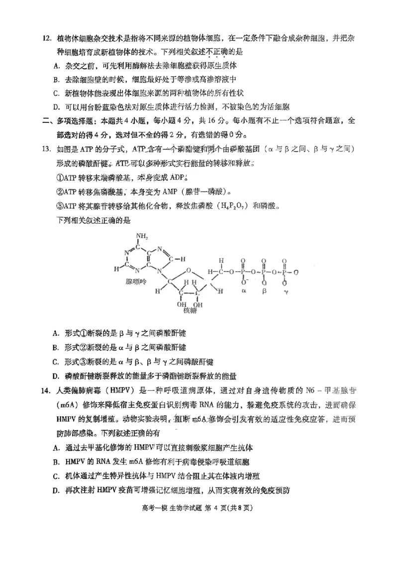 江西省九江市2025届高三上学期第一次高考模拟统一考试生物+答案_2024-2025高三（6-6月题库）_2025年02月试卷_0202江西省九江市2025届高三上学期第一次高考模拟统一考试