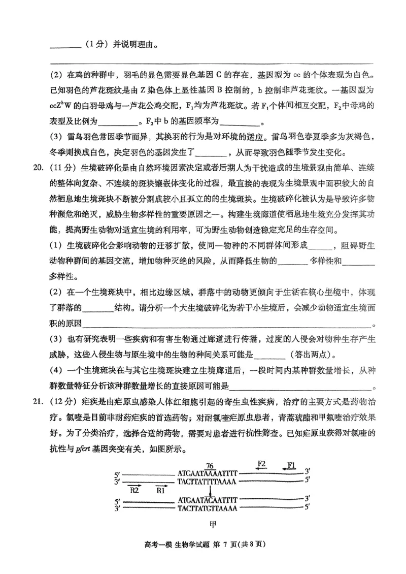 江西省九江市2025届高三上学期第一次高考模拟统一考试生物+答案_2024-2025高三（6-6月题库）_2025年02月试卷_0202江西省九江市2025届高三上学期第一次高考模拟统一考试