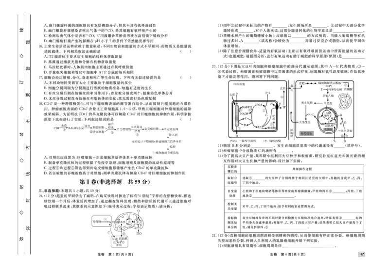 生物(1)_2023年11月_0211月合集_2024届河北省邢台市邢台部分高三上学期11月期中考试_河北省邢台市邢台部分高中2024届高三上学期11月期中考试生物