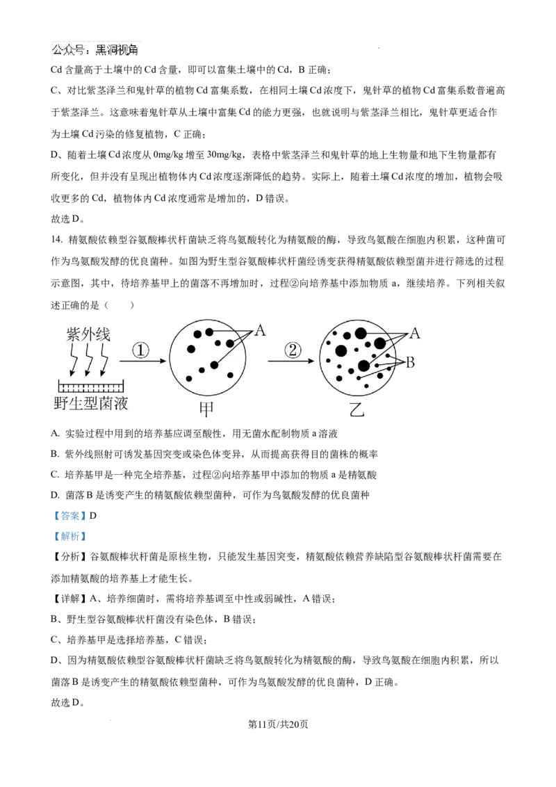 云南师范大学附属中学2024-2025学年高三下学期3月高考适应性月考卷（八）生物答案-70134afc9ff6_2024-2025高三（6-6月题库）_2025年03月试卷