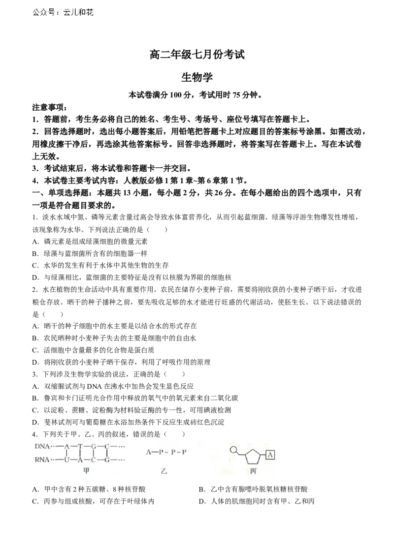 河北省金太阳2023-2024学年高二下学期7月期末生物试题_2024-2025高二（7-7月题库）_2024年07月试卷_0724河北省金太阳2023-2024学年高二下学期7月期末