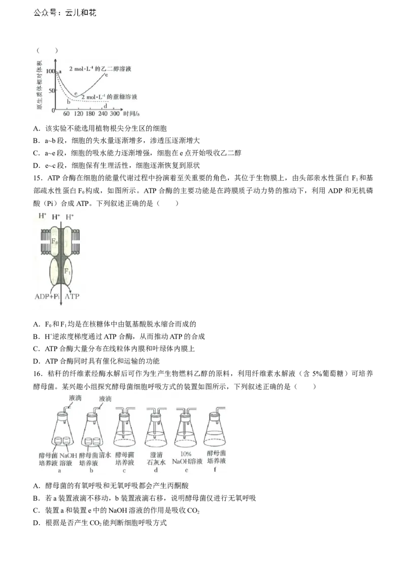 河北省金太阳2023-2024学年高二下学期7月期末生物试题_2024-2025高二（7-7月题库）_2024年07月试卷_0724河北省金太阳2023-2024学年高二下学期7月期末