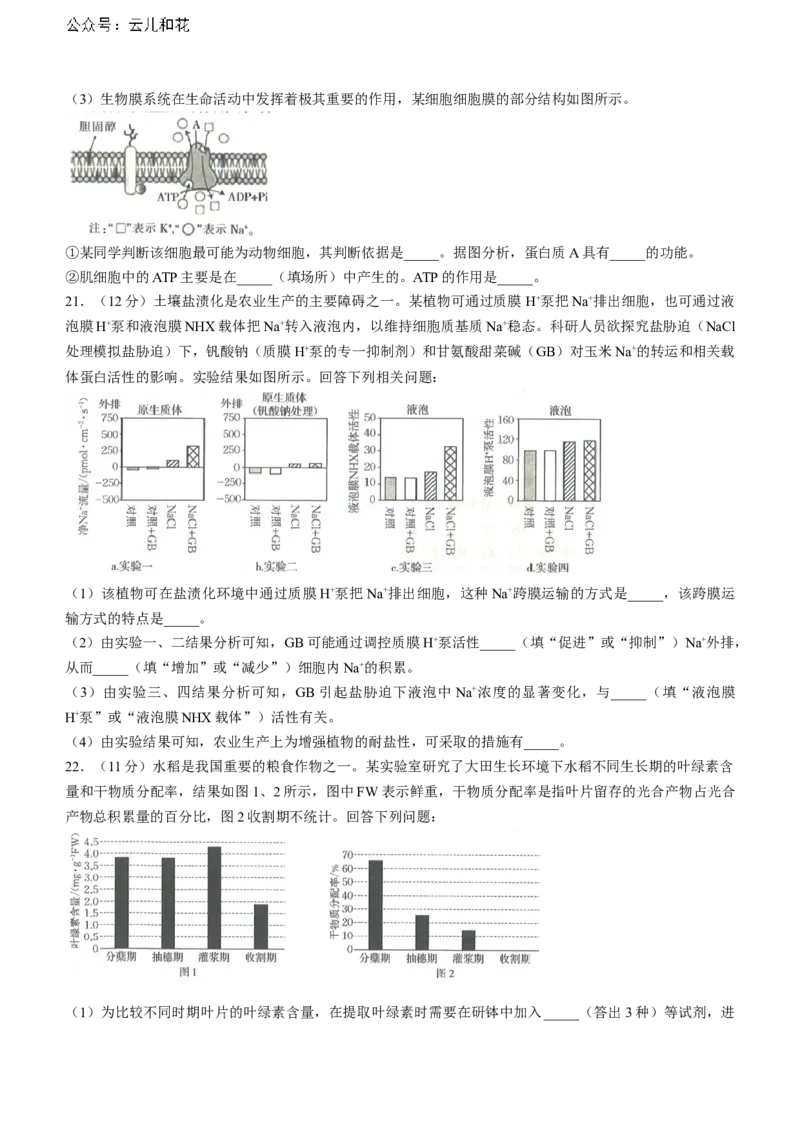 河北省金太阳2023-2024学年高二下学期7月期末生物试题_2024-2025高二（7-7月题库）_2024年07月试卷_0724河北省金太阳2023-2024学年高二下学期7月期末