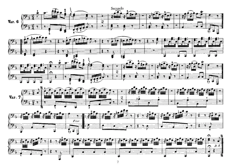 IlMaestroeLoScolare(4Hands)_一万首著名钢琴曲谱哈农贝多芬合集视频教学电子版高清无水印可打印_1古典钢琴知名音乐家谱_海顿钢琴谱全集