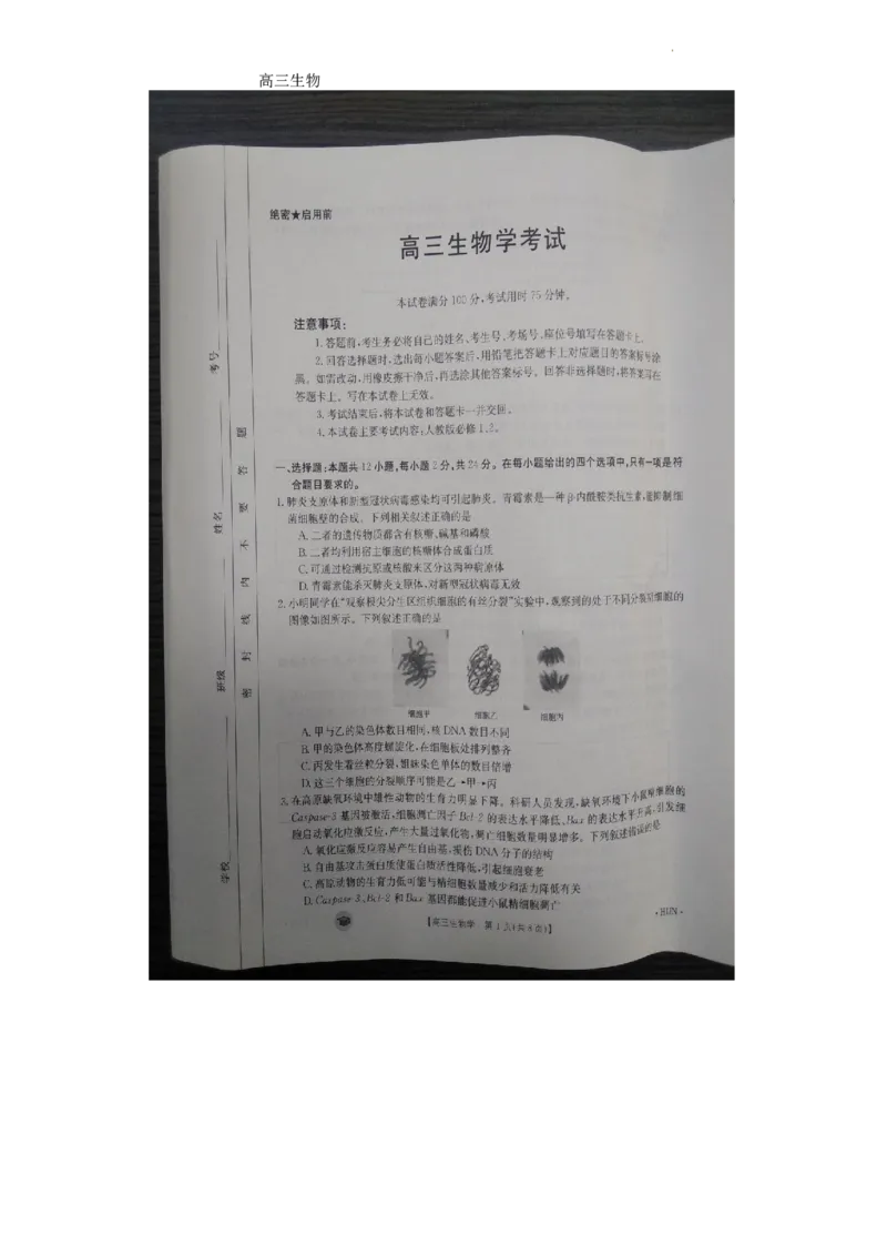 高三生物(1)_2023年11月_0211月合集_2024届湖南省衡阳市衡南县高三上学期金太阳11月期中（帽子2003C）_湖南省衡阳市衡南县2024届高三上学期金太阳11月期中（帽子2003C）生物