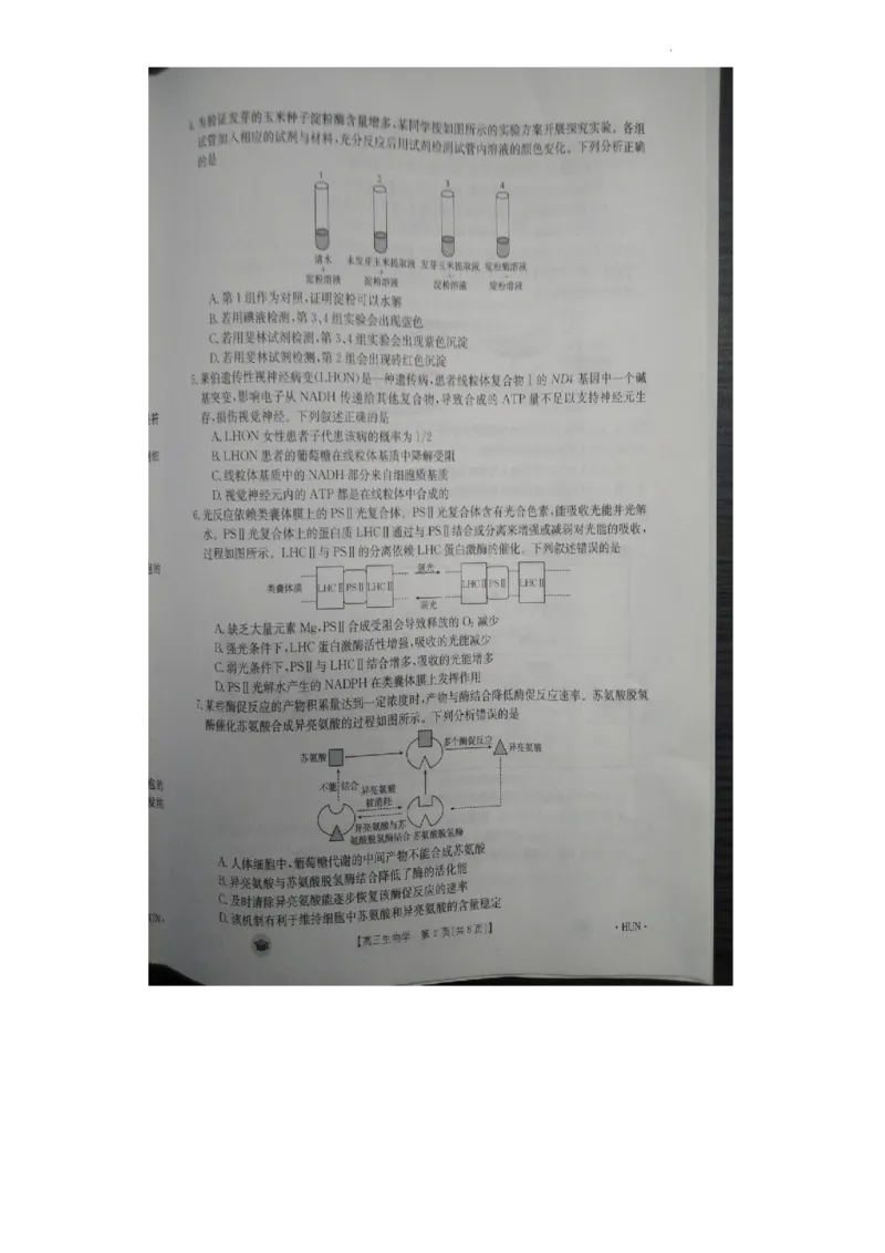 高三生物(1)_2023年11月_0211月合集_2024届湖南省衡阳市衡南县高三上学期金太阳11月期中（帽子2003C）_湖南省衡阳市衡南县2024届高三上学期金太阳11月期中（帽子2003C）生物