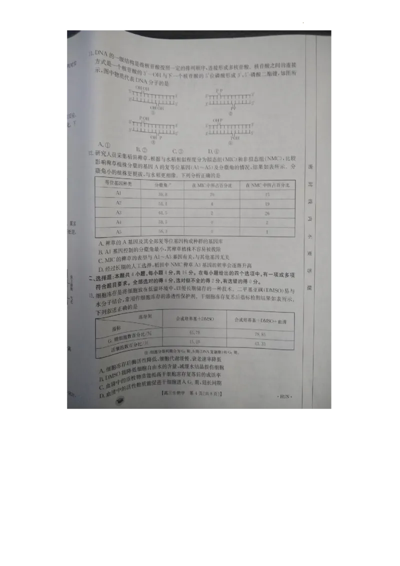 高三生物(1)_2023年11月_0211月合集_2024届湖南省衡阳市衡南县高三上学期金太阳11月期中（帽子2003C）_湖南省衡阳市衡南县2024届高三上学期金太阳11月期中（帽子2003C）生物