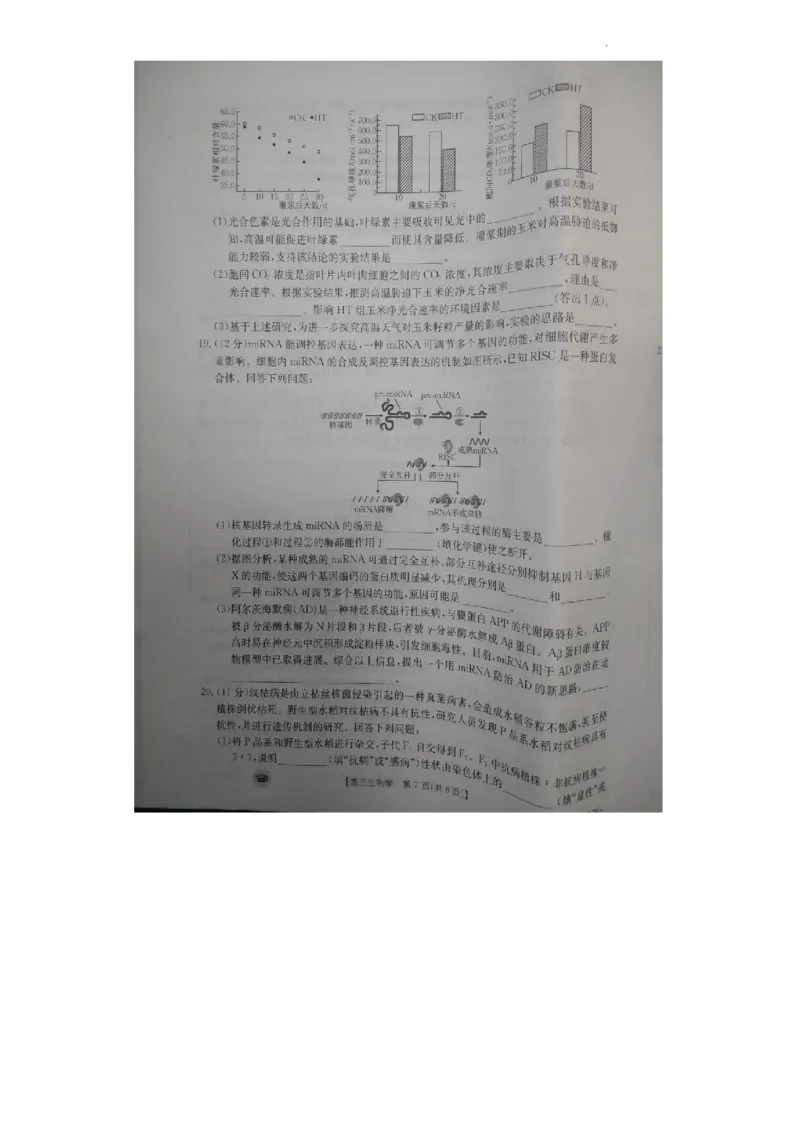 高三生物(1)_2023年11月_0211月合集_2024届湖南省衡阳市衡南县高三上学期金太阳11月期中（帽子2003C）_湖南省衡阳市衡南县2024届高三上学期金太阳11月期中（帽子2003C）生物