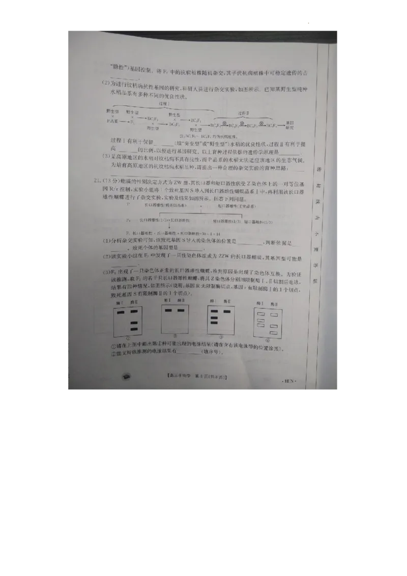 高三生物(1)_2023年11月_0211月合集_2024届湖南省衡阳市衡南县高三上学期金太阳11月期中（帽子2003C）_湖南省衡阳市衡南县2024届高三上学期金太阳11月期中（帽子2003C）生物