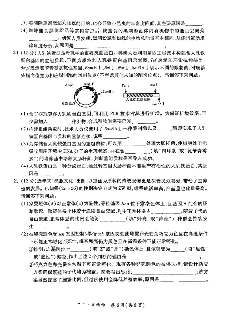 江西省红色十校2025届高三上学期第一次联考（一模）生物试题+答案_2024-2025高三（6-6月题库）_2024年09月试卷_0923江西省红色十校2025届高三上学期第一次联考