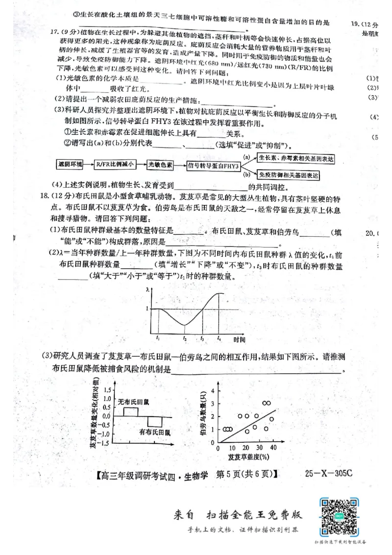 拍照扫描1213172928_2024-2025高三（6-6月题库）_2024年12月试卷_1216河南省TOP二十名校2024-2025学年高三上学期调研考试_河南省TOP二十名校2025届高三上学期12月调研考试四生物试卷
