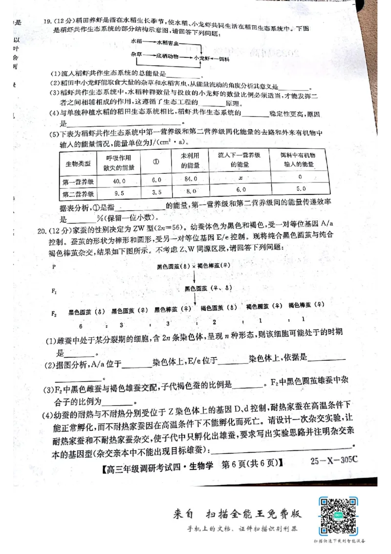 拍照扫描1213172928_2024-2025高三（6-6月题库）_2024年12月试卷_1216河南省TOP二十名校2024-2025学年高三上学期调研考试_河南省TOP二十名校2025届高三上学期12月调研考试四生物试卷