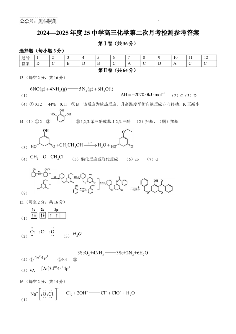 天津市第二十五中学2024-2025学年高三上学期12月月考化学试题_2024-2025高三（6-6月题库）_2024年12月试卷_1223天津市第二十五中学2024-2025学年高三上学期第二次月考（12月）试题