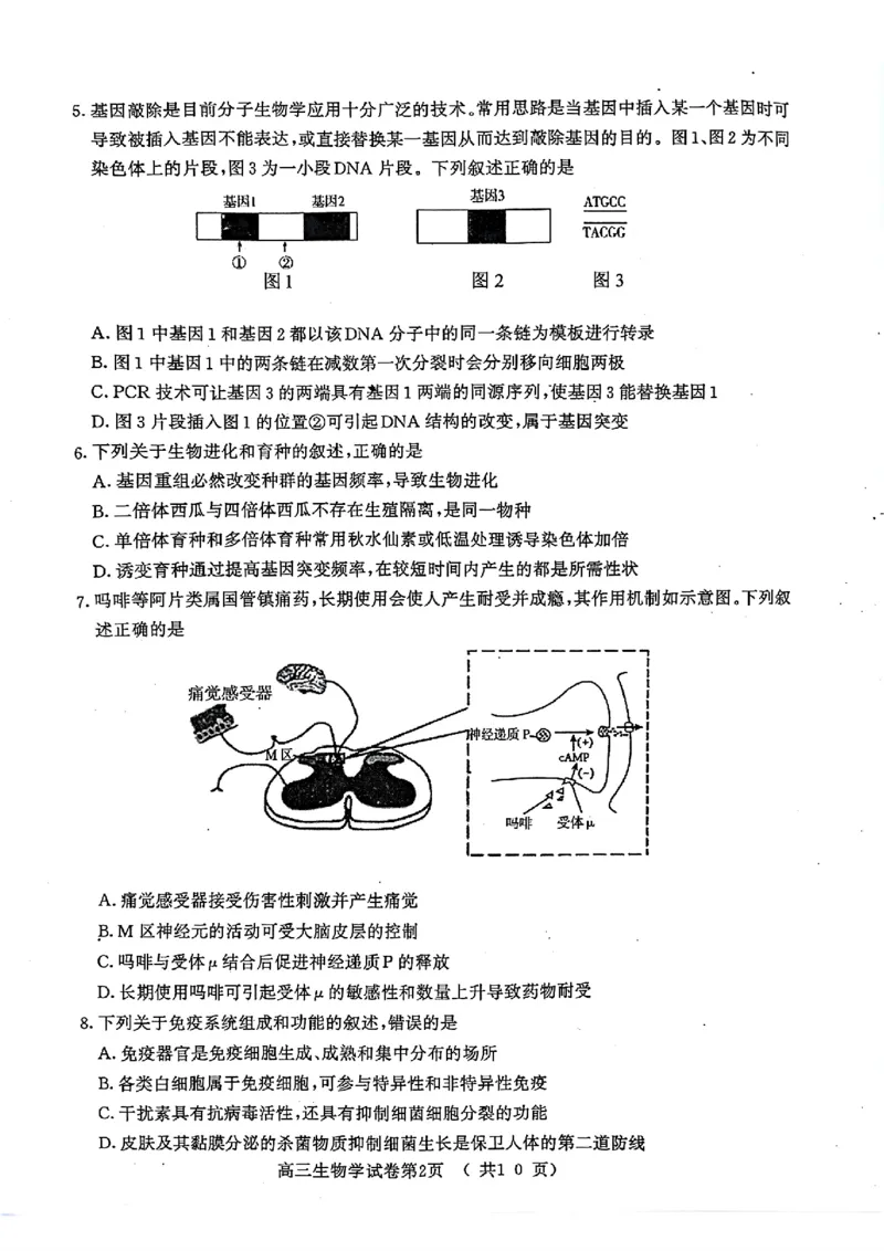 江苏省南京市2025届高三学情调研9月生物+答案_2024-2025高三（6-6月题库）_2024年09月试卷_0922江苏省南京市2024-2025学年高三上学期第一次学情调研（零模）