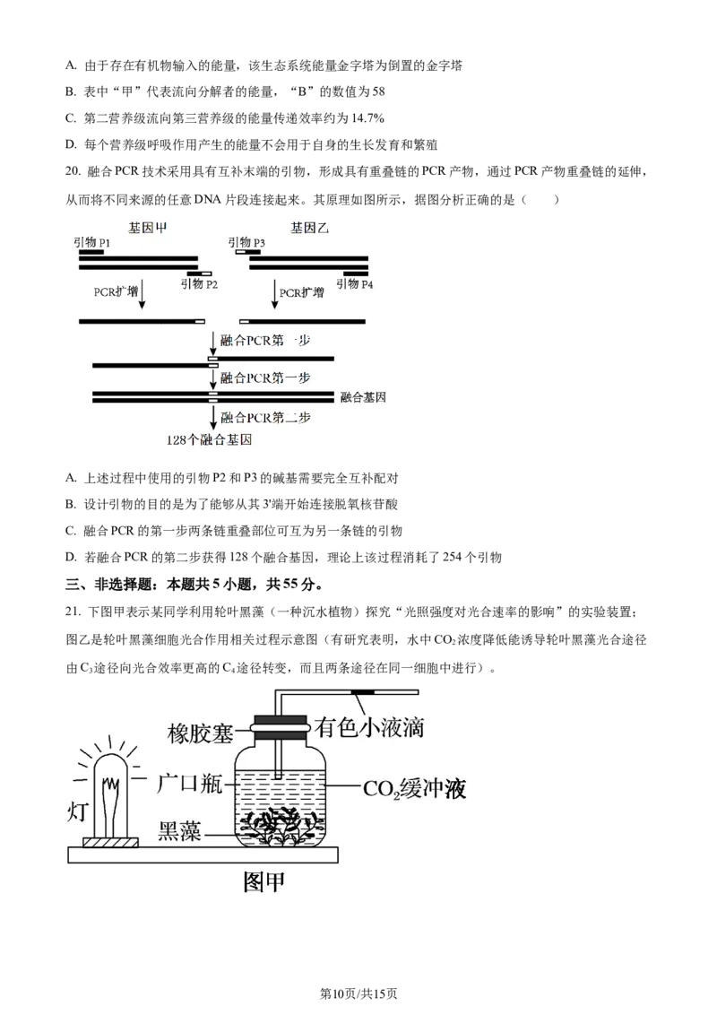 精品解析：2024届山东省泰安市高三一模生物试题（原卷版）_2024年3月_013月合集_2024届山东省泰安市高三一模_2024届山东省泰安市高三下学期一模生物试题