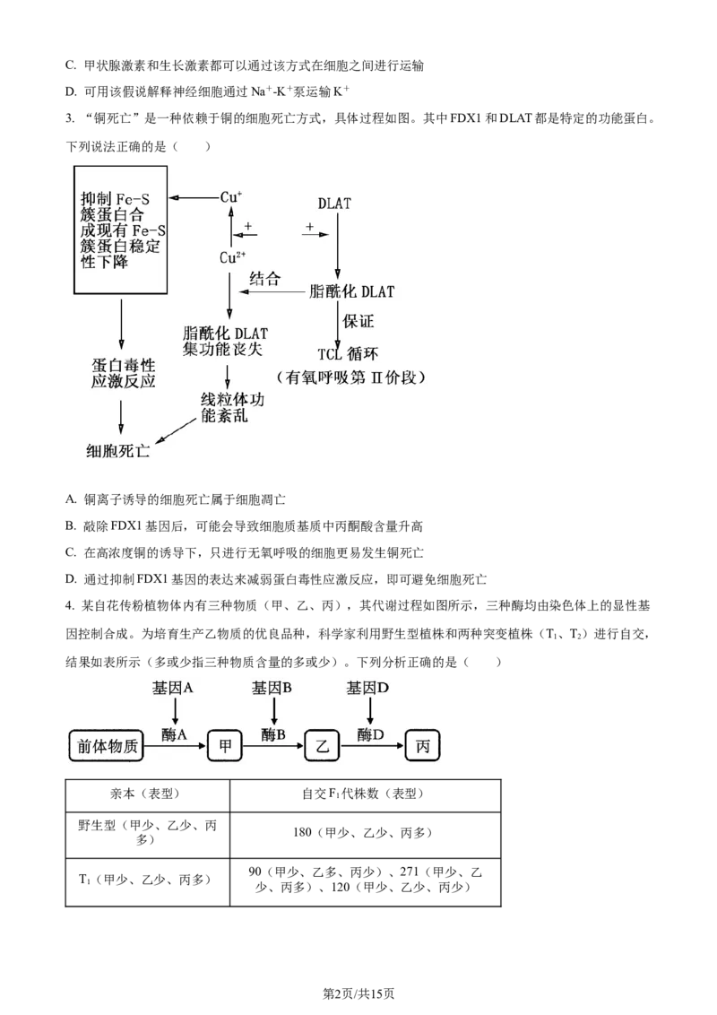 精品解析：2024届山东省泰安市高三一模生物试题（原卷版）_2024年3月_013月合集_2024届山东省泰安市高三一模_2024届山东省泰安市高三下学期一模生物试题