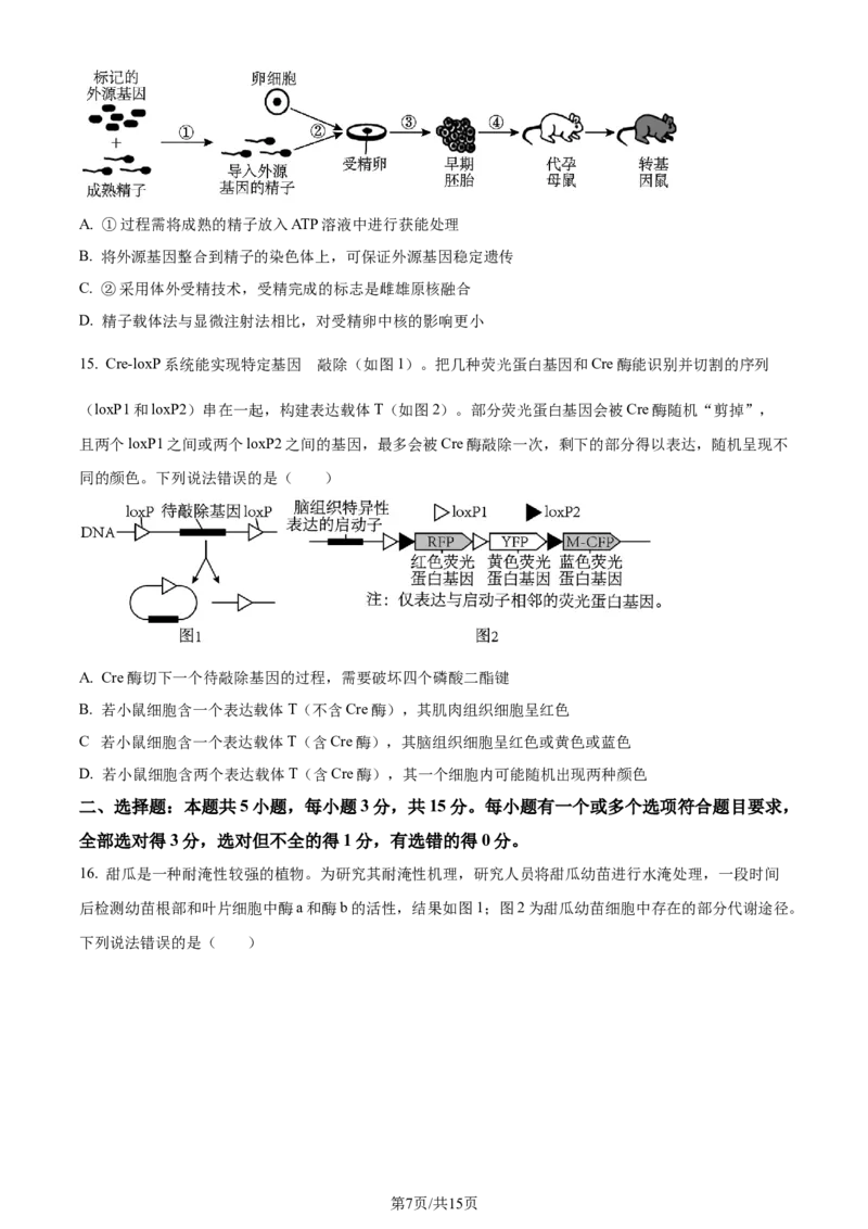 精品解析：2024届山东省泰安市高三一模生物试题（原卷版）_2024年3月_013月合集_2024届山东省泰安市高三一模_2024届山东省泰安市高三下学期一模生物试题