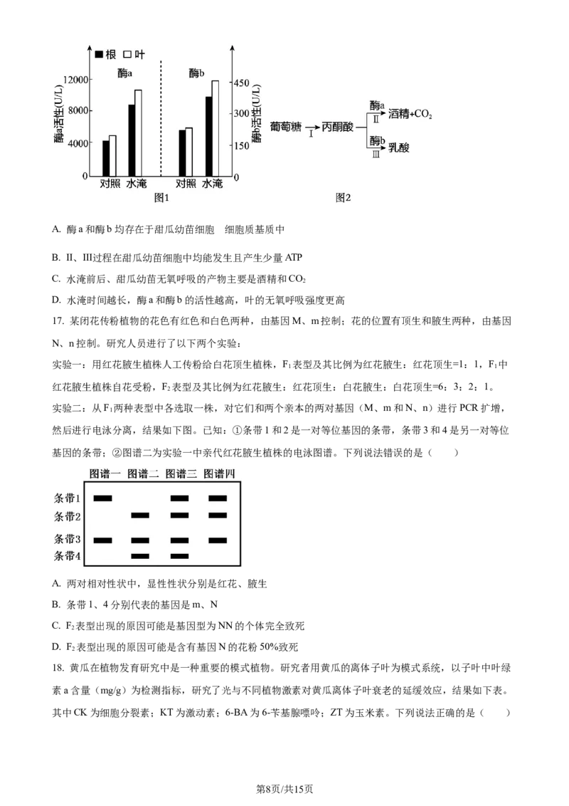 精品解析：2024届山东省泰安市高三一模生物试题（原卷版）_2024年3月_013月合集_2024届山东省泰安市高三一模_2024届山东省泰安市高三下学期一模生物试题