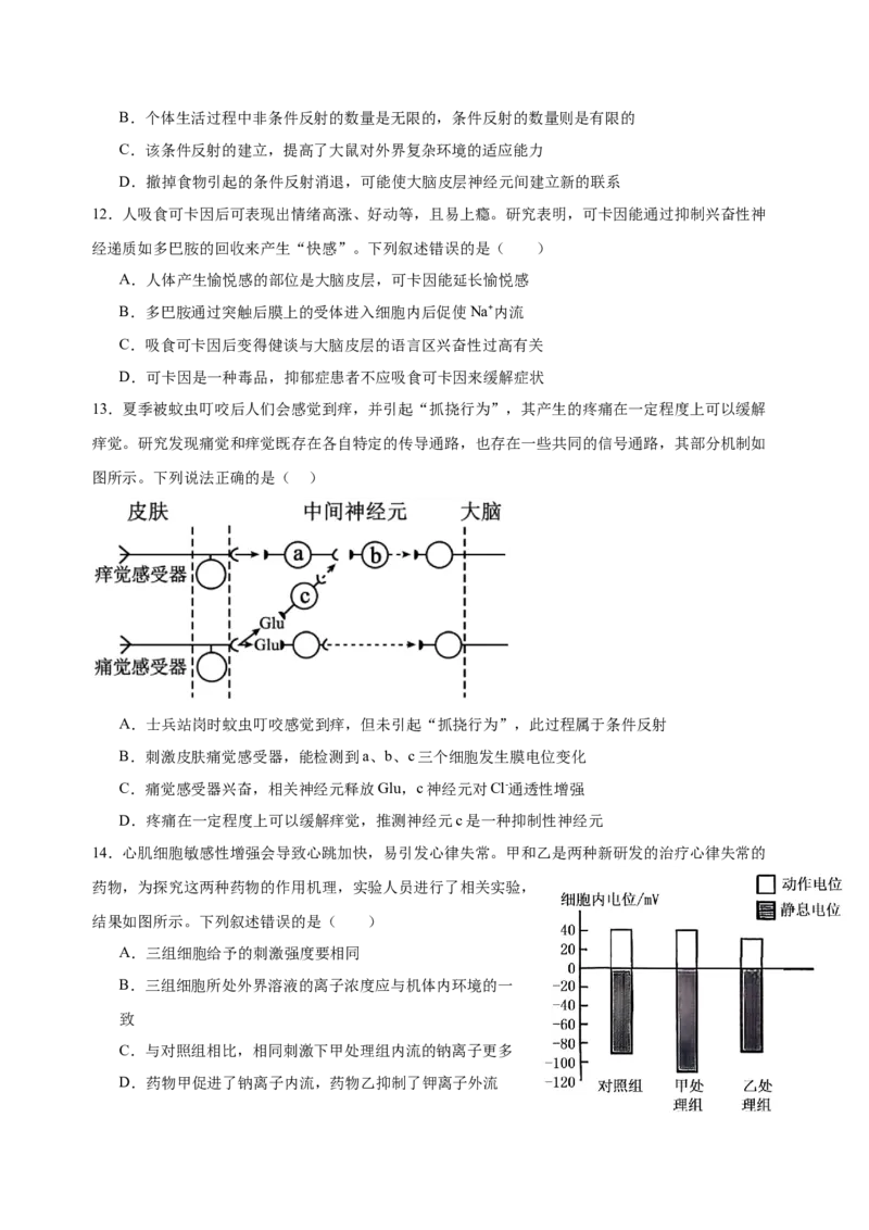 2024级高二9月月考生物试题_2025年10月高二试卷_251011四川省眉山市仁寿第一中学校（北校区）2025-2026学年高二上学期9月月考