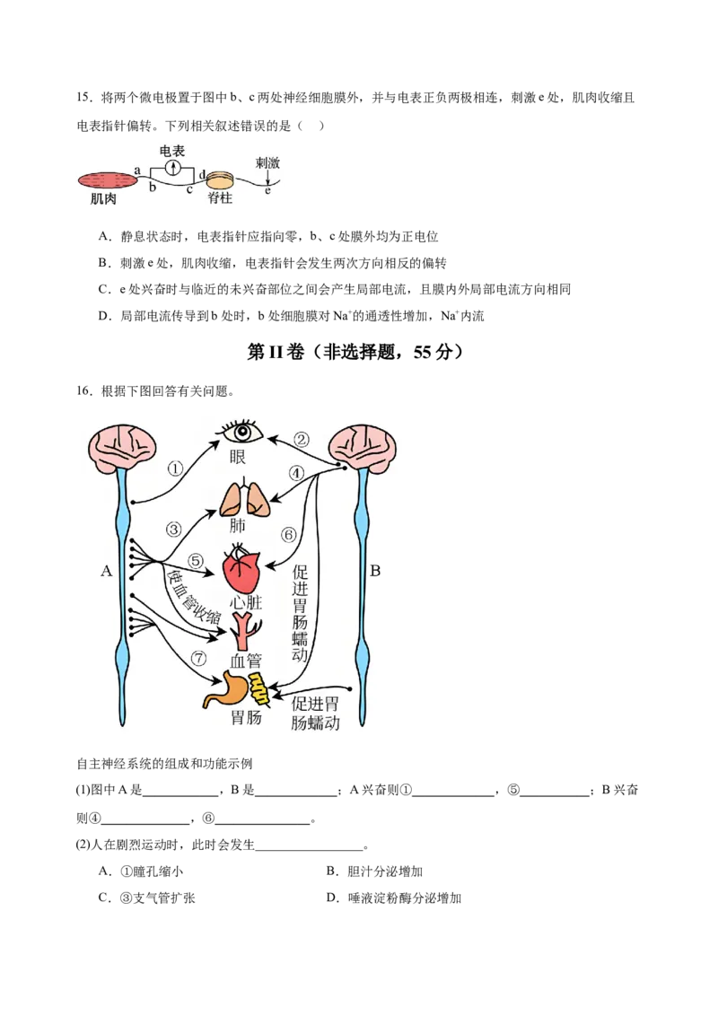2024级高二9月月考生物试题_2025年10月高二试卷_251011四川省眉山市仁寿第一中学校（北校区）2025-2026学年高二上学期9月月考
