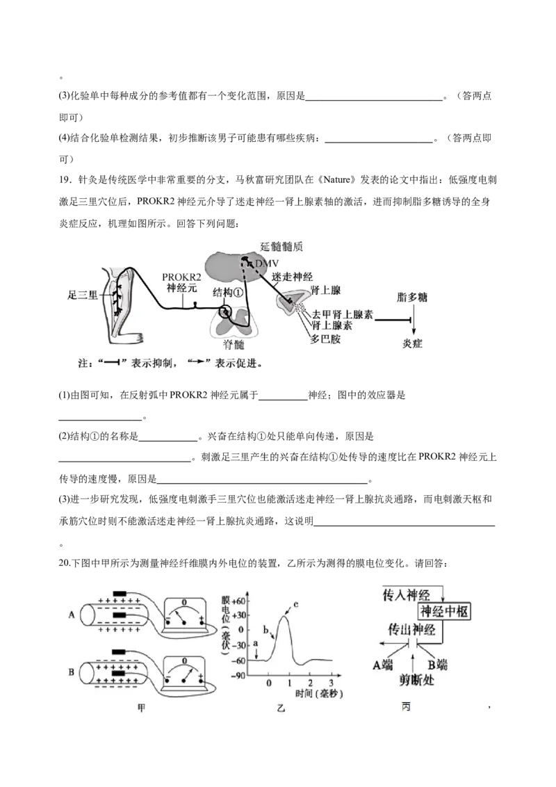 2024级高二9月月考生物试题_2025年10月高二试卷_251011四川省眉山市仁寿第一中学校（北校区）2025-2026学年高二上学期9月月考