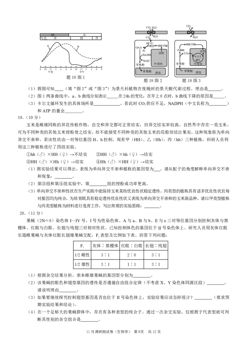 康德2024年重庆市普通高中学业水平选择性考试高三11月调研测试卷生物试题(1)_2023年11月_0211月合集_2024届重庆半期统考普通高等学校招生全国统一考试高三11月调研卷（康德卷）