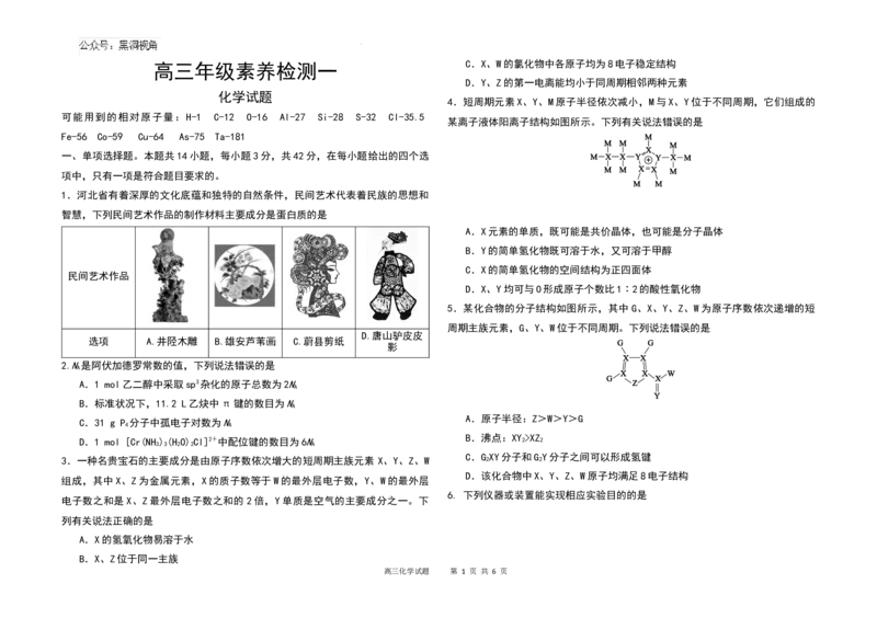 河北省衡水市第二中学2024-2025学年高三上学期素养检测（一）化学_2024-2025高三（6-6月题库）_2024年10月试卷_1013河北省衡水市第二中学2024-2025学年高三上学期素养检测（一）