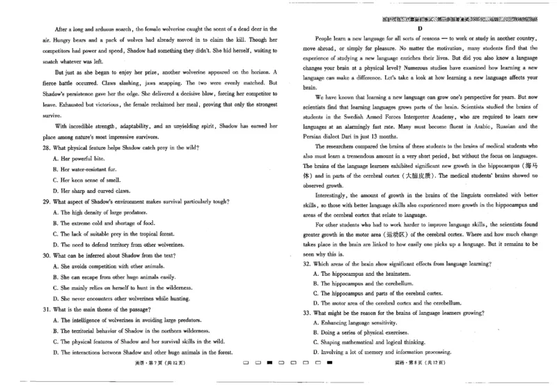 云南师大附中2025届高考适应性月考卷（六）英语试卷_2024-2025高三（6-6月题库）_2024年12月试卷_1203云南师范大学附属中学2024-2025学年高三上学期高考适应性月考（六）（全科）