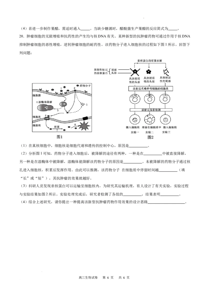 生物试卷_2024年2月_01每日更新_19号_2024届重庆市缙云教育联盟高三下学期2月月度质量检测_重庆市缙云教育联盟2023-2024学年高三下学期2月月度质量检测-生物