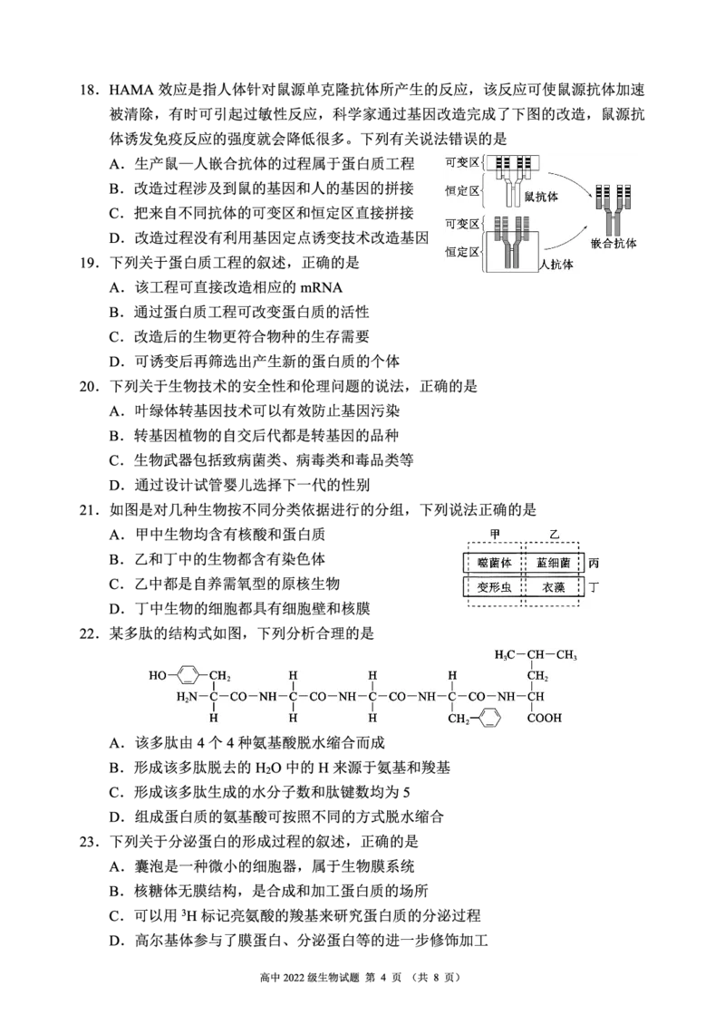 四川省成都市蓉城名校2023-2024学年高二下学期6月期末联考生物试题_2024-2025高三（6-6月题库）_2024年06月试卷_240618四川省成都市蓉城名校2023-2024学年高二下学期期末联考