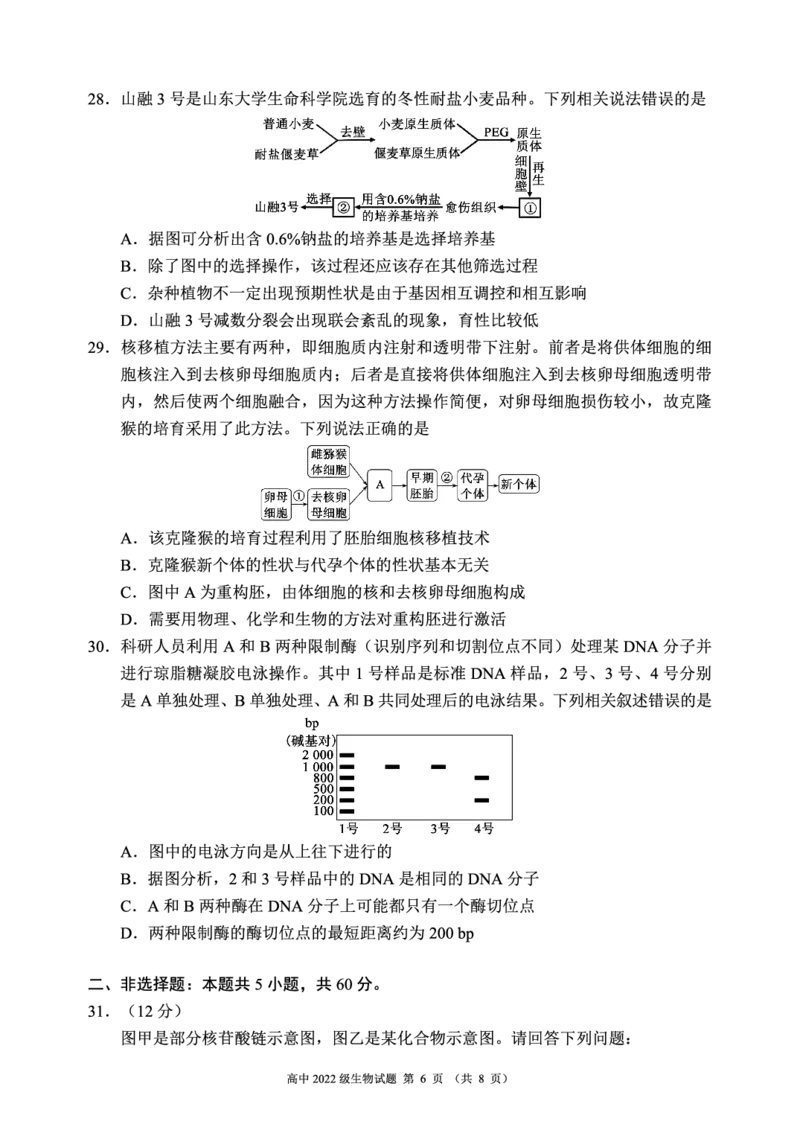 四川省成都市蓉城名校2023-2024学年高二下学期6月期末联考生物试题_2024-2025高三（6-6月题库）_2024年06月试卷_240618四川省成都市蓉城名校2023-2024学年高二下学期期末联考
