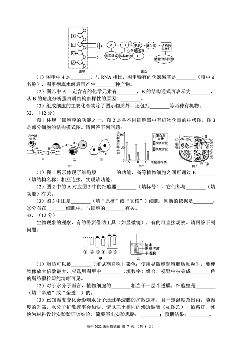 四川省成都市蓉城名校2023-2024学年高二下学期6月期末联考生物试题_2024-2025高三（6-6月题库）_2024年06月试卷_240618四川省成都市蓉城名校2023-2024学年高二下学期期末联考