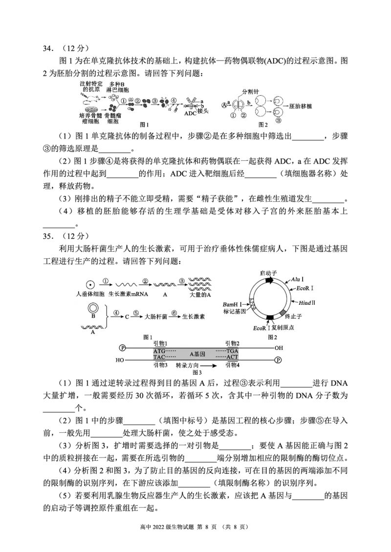 四川省成都市蓉城名校2023-2024学年高二下学期6月期末联考生物试题_2024-2025高三（6-6月题库）_2024年06月试卷_240618四川省成都市蓉城名校2023-2024学年高二下学期期末联考