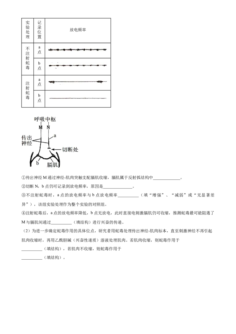 精品解析：黑龙江省大庆实验中学2023-2024学年高三上学期期中生物试题（原卷版）(1)_2023年11月_0211月合集_2024届黑龙江省大庆实验中学高三上学期期中考试