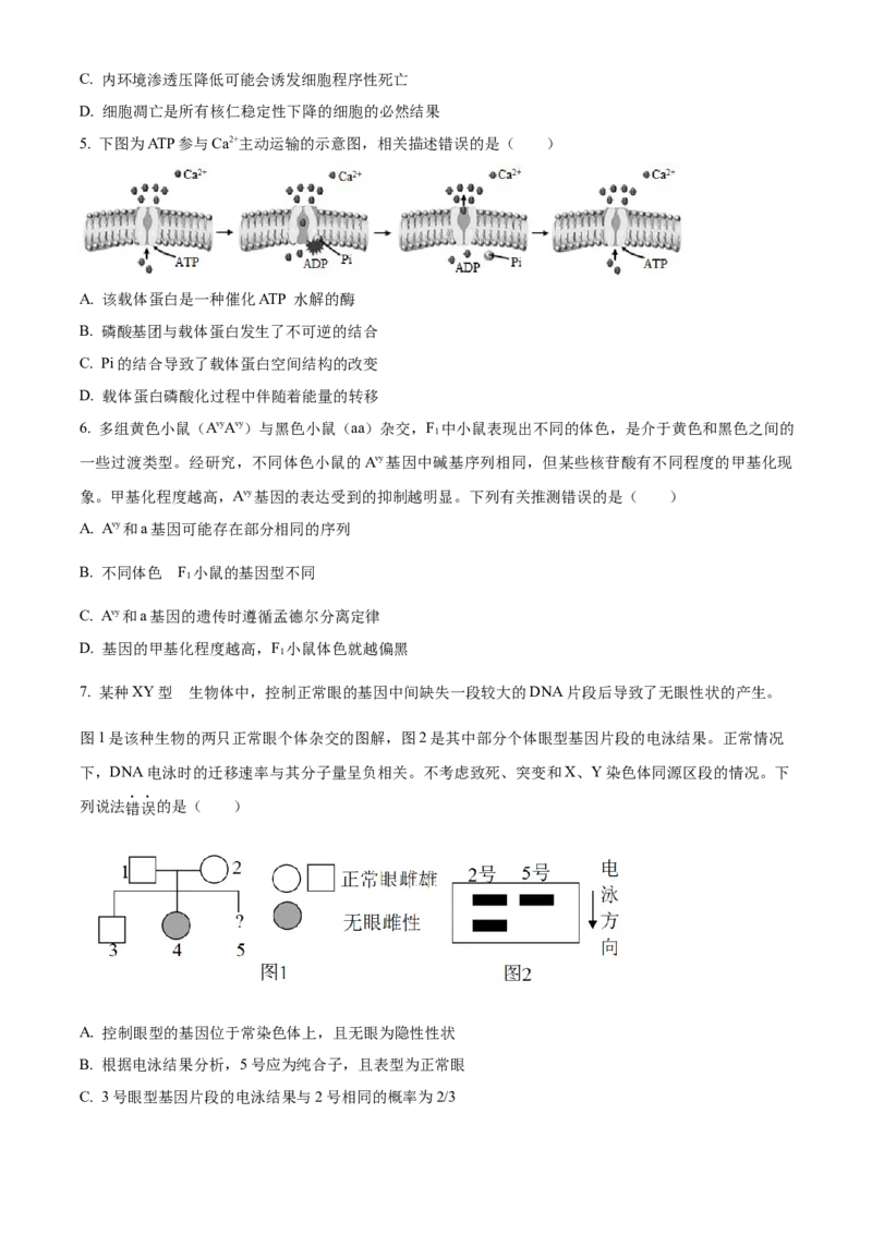 精品解析：黑龙江省大庆实验中学2023-2024学年高三上学期期中生物试题（原卷版）(1)_2023年11月_0211月合集_2024届黑龙江省大庆实验中学高三上学期期中考试