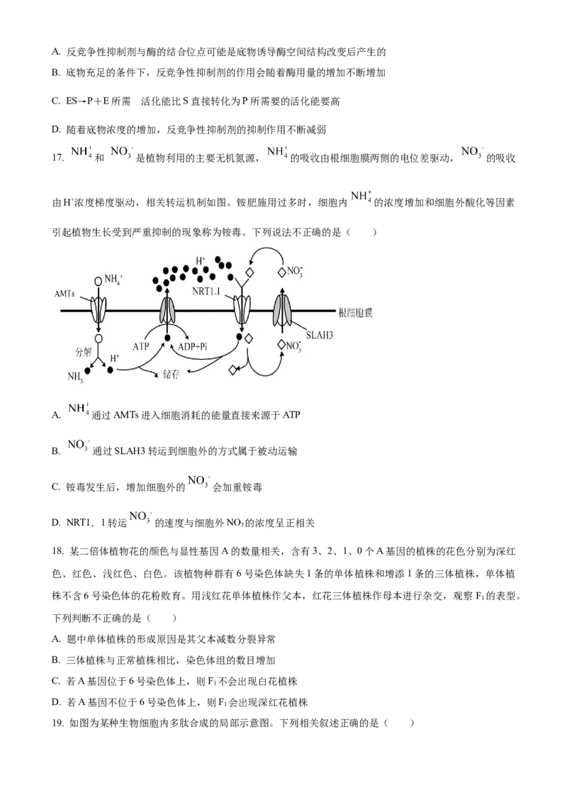 精品解析：黑龙江省大庆实验中学2023-2024学年高三上学期期中生物试题（原卷版）(1)_2023年11月_0211月合集_2024届黑龙江省大庆实验中学高三上学期期中考试