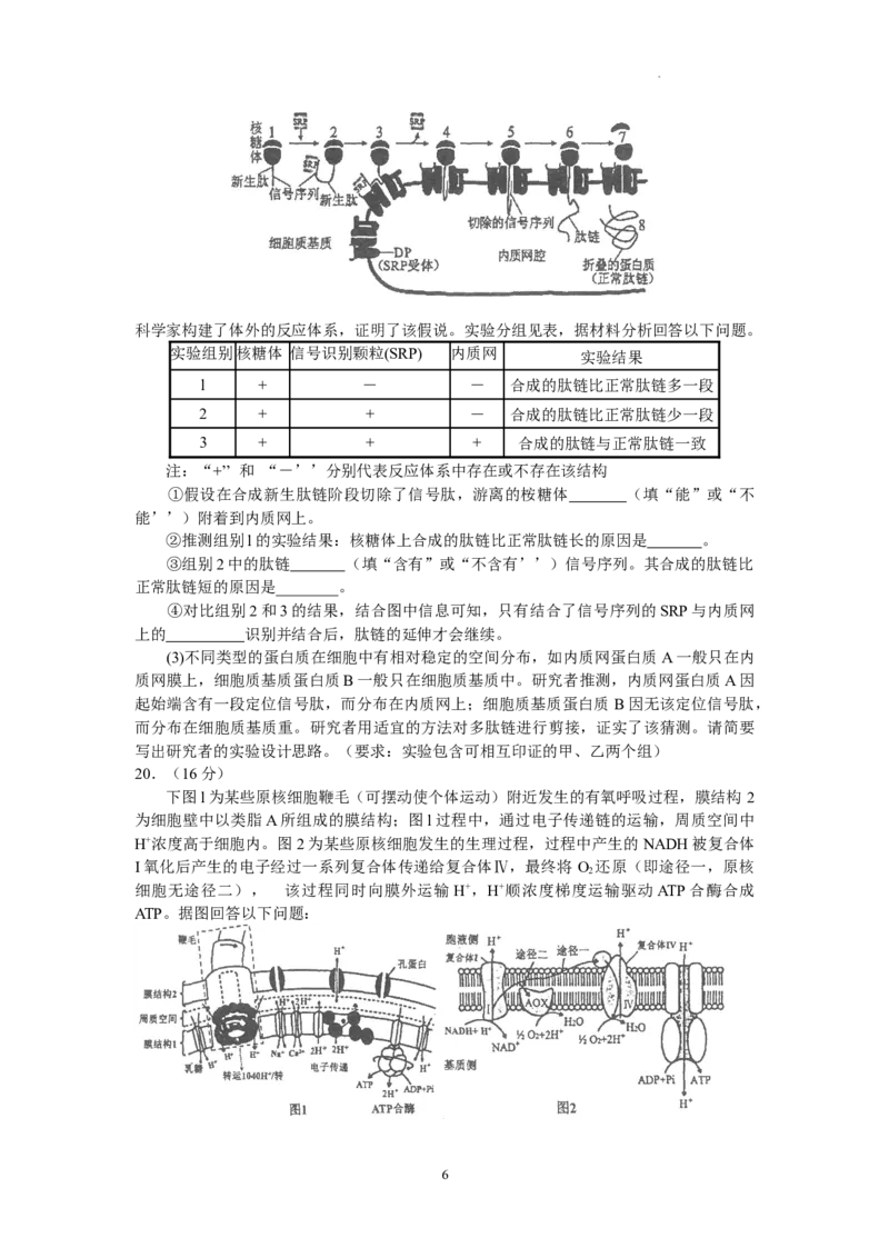 广东省实验中学2024届高三上学期第一次阶段考试生物(1)_2023年11月_01每日更新_19号_2024届广东省实验中学高三上学期第一次阶段考试