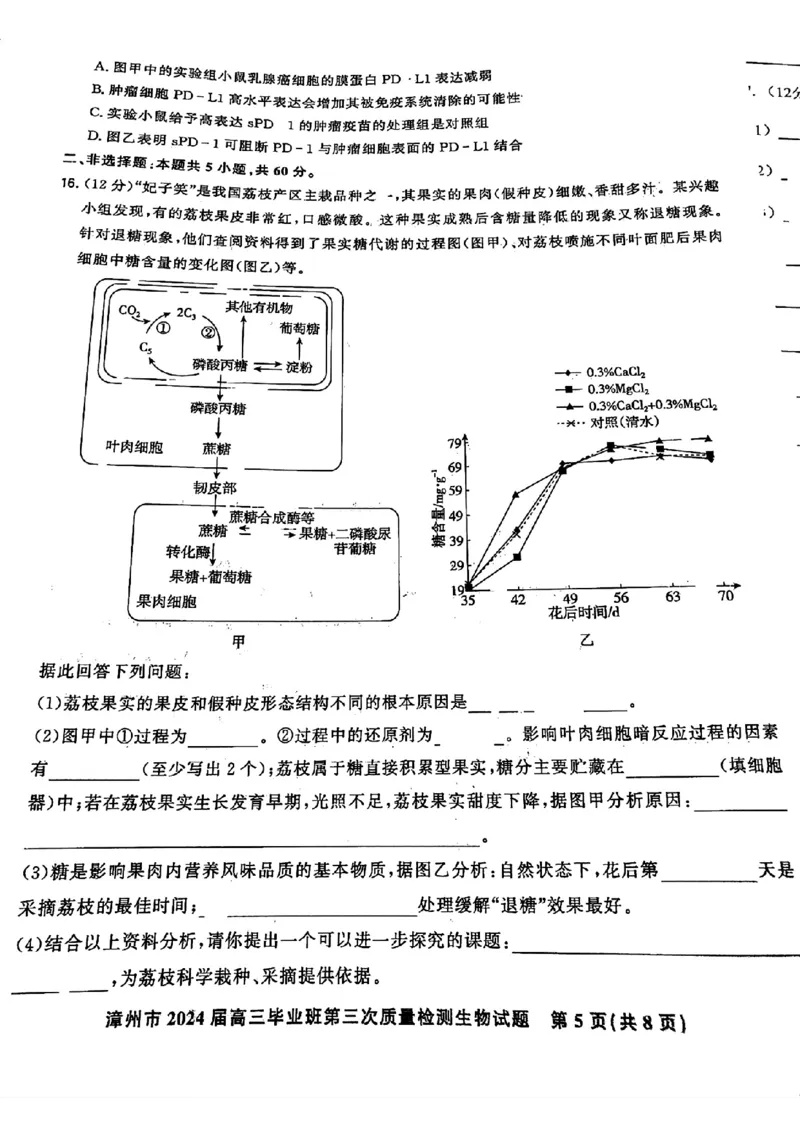 福建省漳州市2024届高三毕业班第三次质量检测生物(1)_2024年3月_013月合集_2024届福建省漳州市高三毕业班第三次质量检测