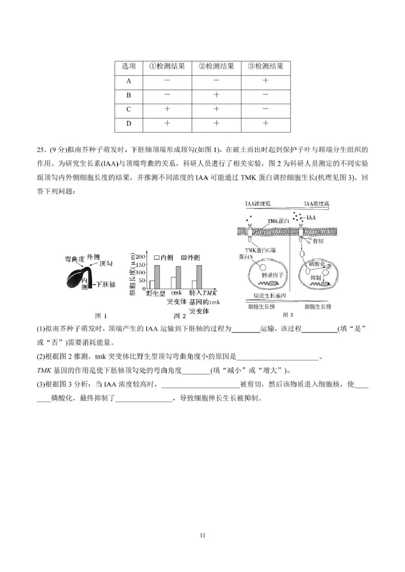 山东师范大学附属中学2025-2026学年高二上学期期中考试生物PDF版含答案_251217山东师范大学附属中学2025-2026学年高二上学期期中考试（全）